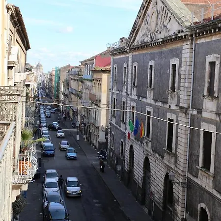 Tricora Sicilian *