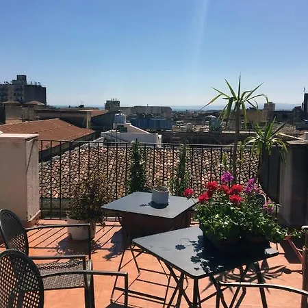 Tricora Sicilian * Catánia