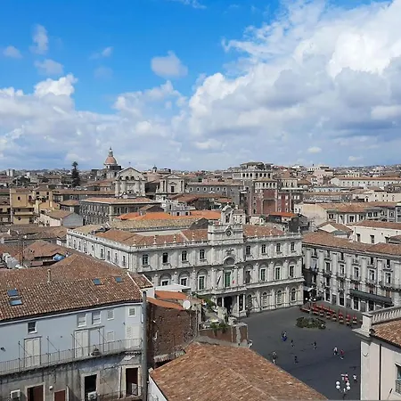 Tricora Sicilian *