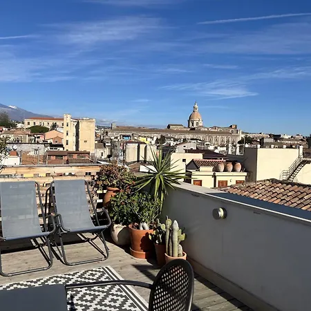 Tricora Sicilian *